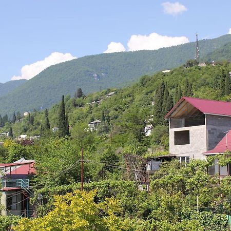 Guest House Zvanba Gagra Extérieur photo