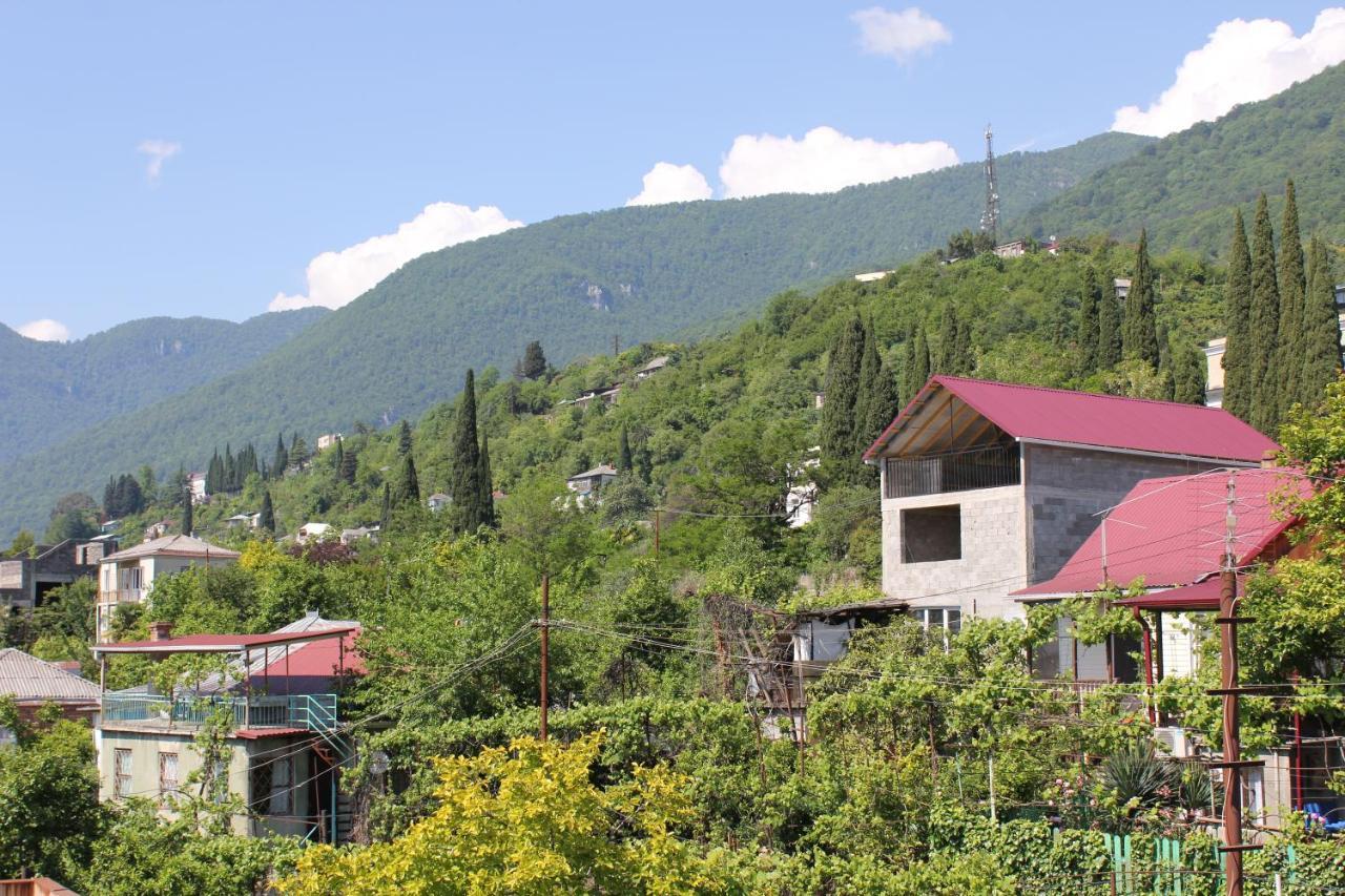 Guest House Zvanba Gagra Extérieur photo